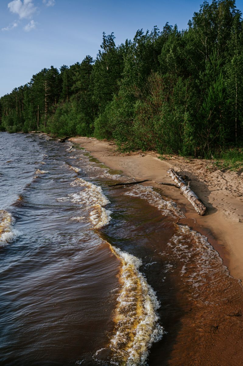 Darwinian State Natural Biosphere Reserve